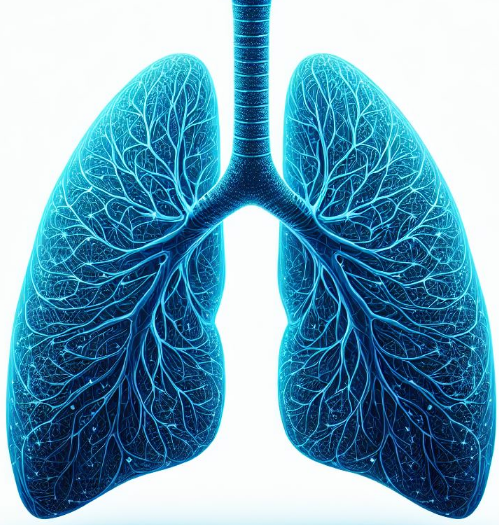 kształt płuc w kolorze niebieskim na białym tle